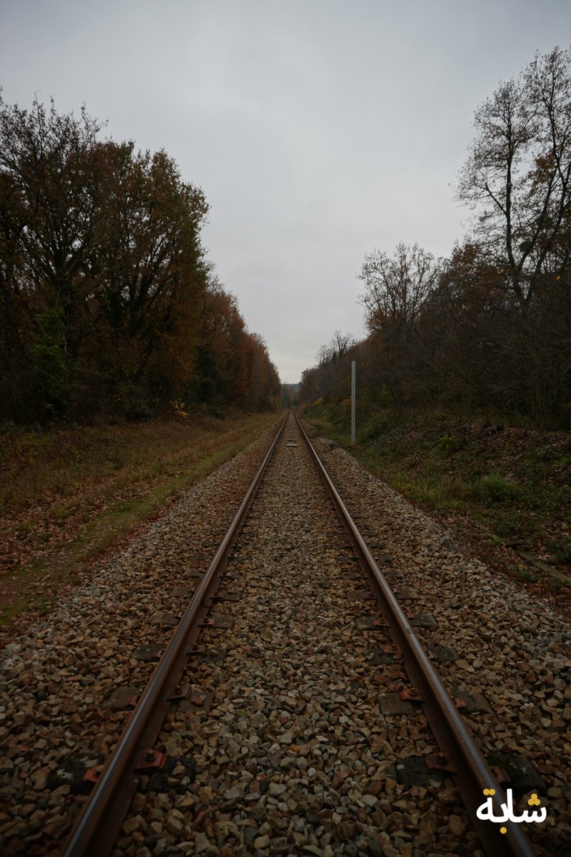 chaba_alg's tweet image. Bonjour ! #ciel #feuilles #rails #train #vert
❤️😁😉💚💕
2025-11-16 17:20:09 (UTC+2)