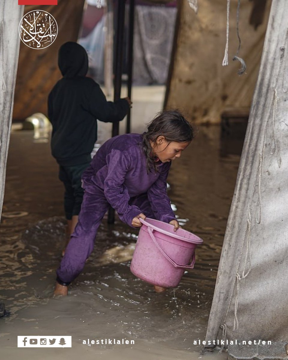 alestiklalen's tweet image. Gaza City:
Displaced families are battling flooded tents and freezing cold, with rain soaking their only shelters and no proper protection from the winter.

#Gaza #Displacement #HumanitarianCrisis