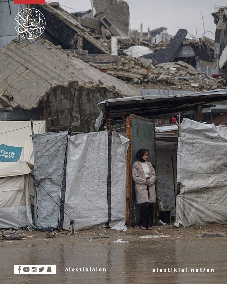 alestiklalen's tweet image. Gaza City:
Displaced families are battling flooded tents and freezing cold, with rain soaking their only shelters and no proper protection from the winter.

#Gaza #Displacement #HumanitarianCrisis