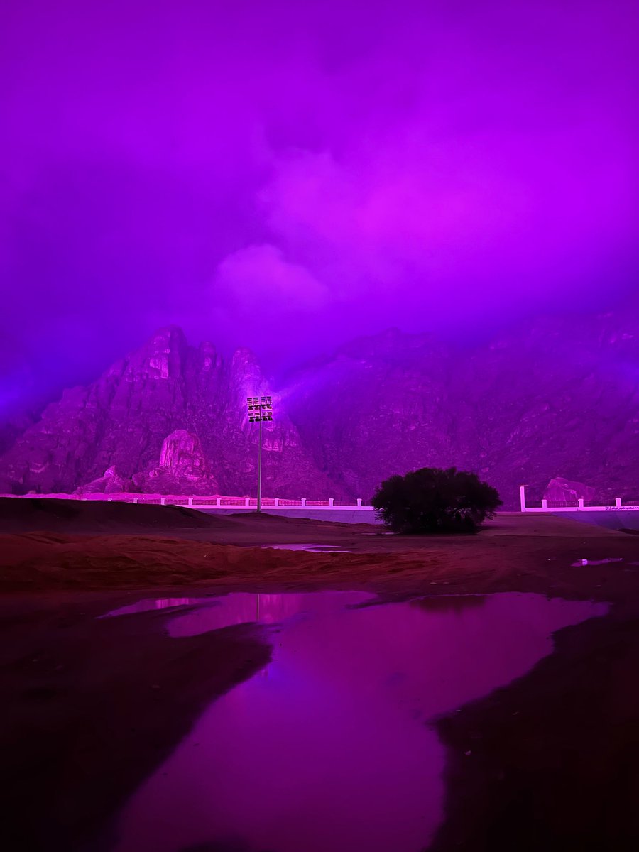 عبدالله tweet media