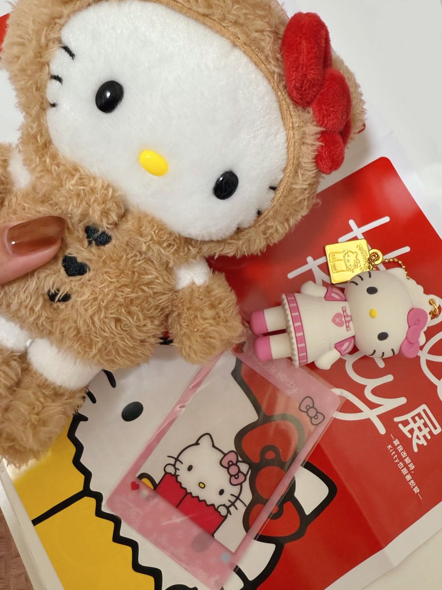 hcxql1's tweet photo. ハローキティの可愛い世界、ぬいぐるみと一緒に、ハローキティだらけの場所を歩く幸せな瞬間🐱🎀
あなたもハローキティが好きですか？#ハローキティ #可愛い時間 #甘い世界 https://t.co/prtoO7JWCy