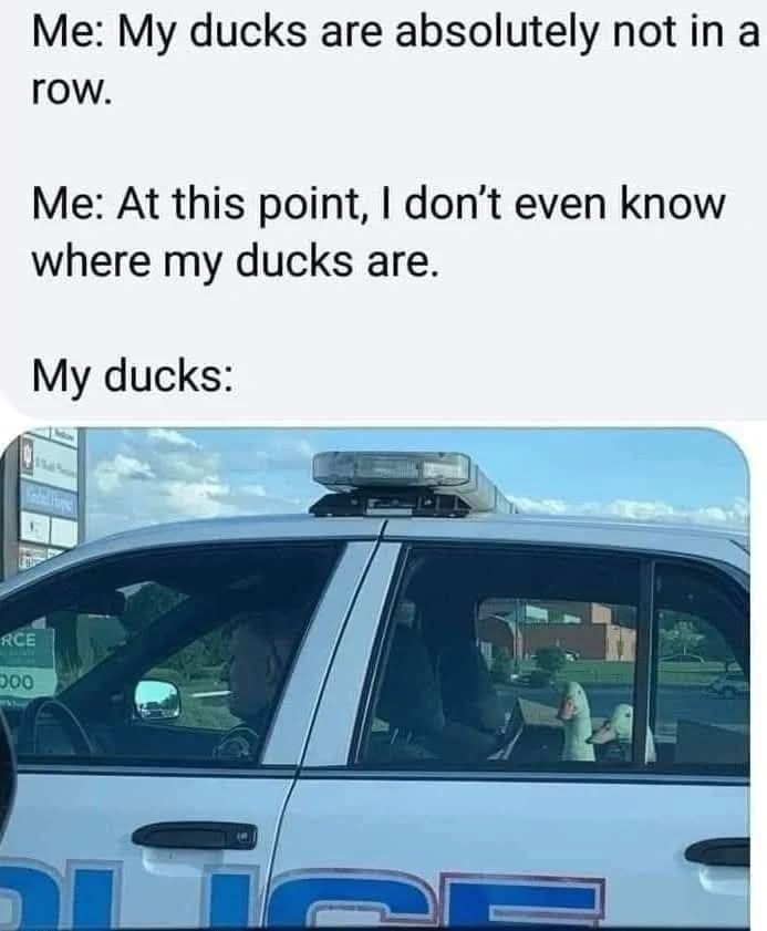 HelpATeacher's tweet image. Accurate.