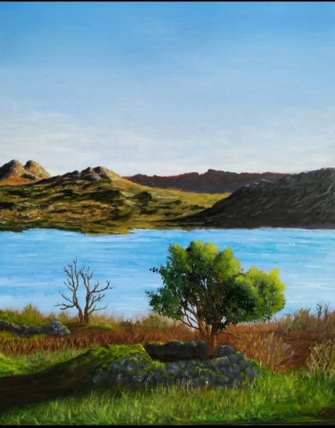 Fein Art tweet media