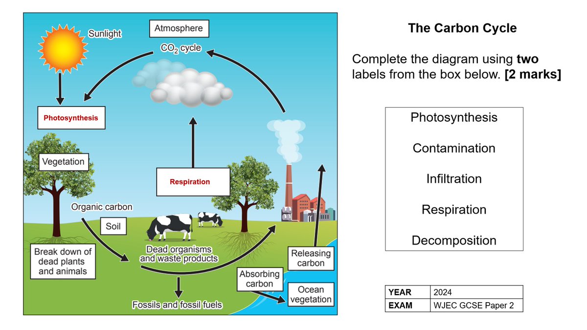 Geography gold: Carbon cycle diagram. Here’s another classroom cracker from a past GCSE exam paper. Credit: WJEC GCSE 2024. In shared folder. #geography #geographyteacher #teachers