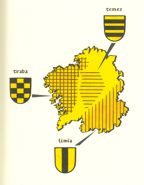 Pales, fesses, and checky patterns in late medieval Galician heraldry.

According to E. Pardo de Guevara, these motifs were all inspired by the geometric designs of three older, high-medieval leading houses: the Traba (checky), the Temes (fesses), and the Limia (pales)…