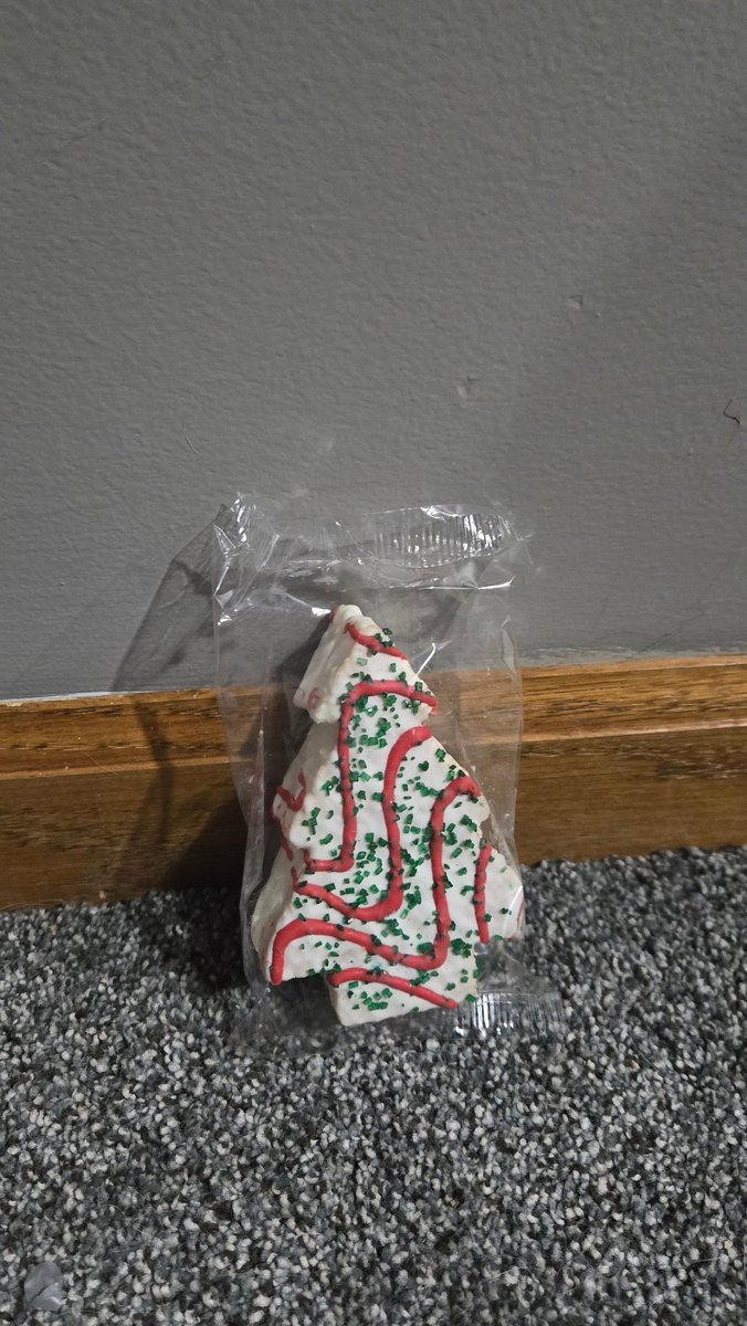 Put my Christmas tree up today.