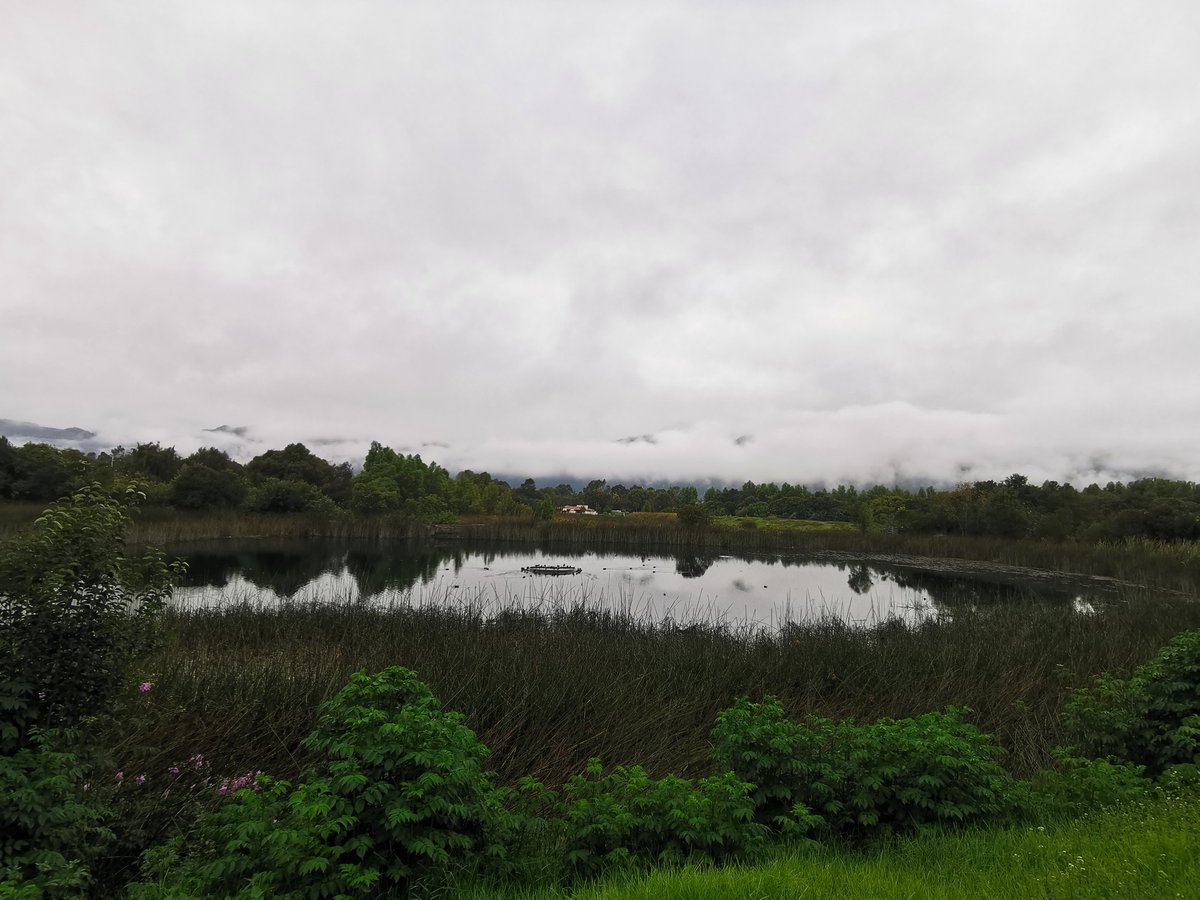 San Cristóbal de las Casas #Chiapas amaneció con #llovizna y ambiente frío; la mínima registrada de 9.4 °C en el Obs de San Cristóbal.
Actualmente a 23.4 °C, esperando un descenso de la temperatura, aumento de nublados y 80% de probabilidad de lluvia
Foto y reporte <a href="/NavarroLang/">LANG</a>