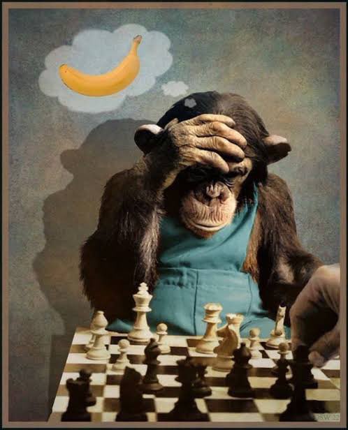 TarrasQueX tweet media