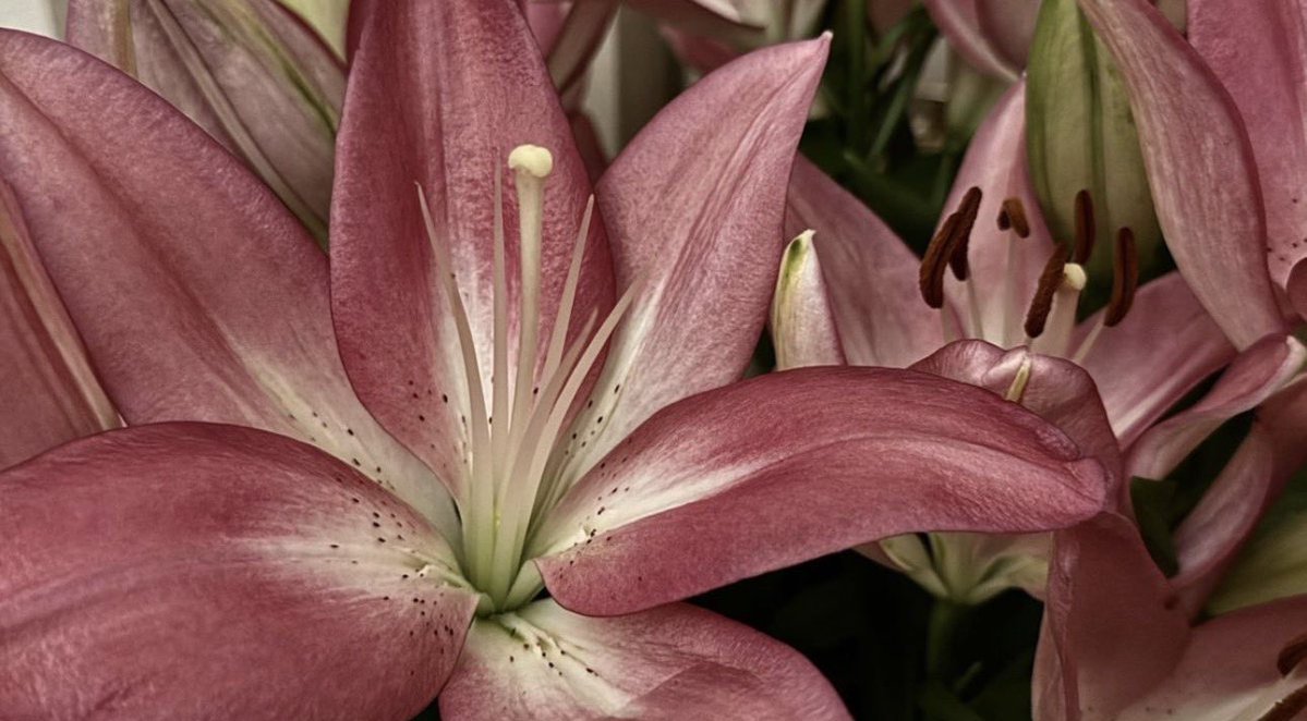 i3Moment's tweet image. 