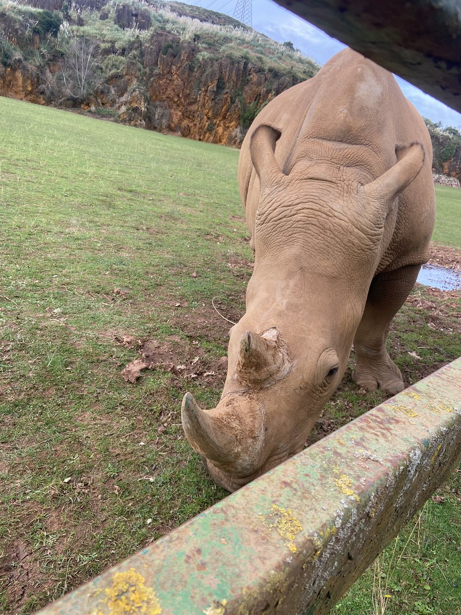 Parque natural de cabarceno