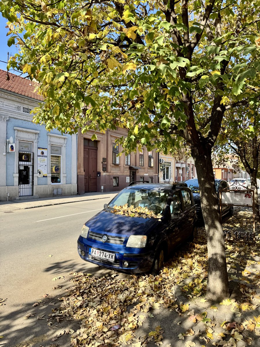 Еще осень в Панчево принес вам