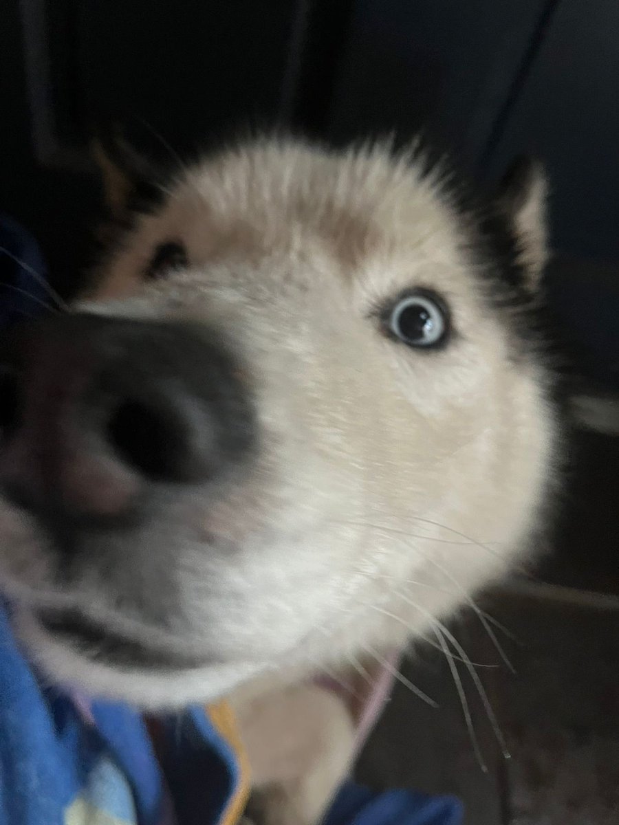 Sniff test... 
You past...