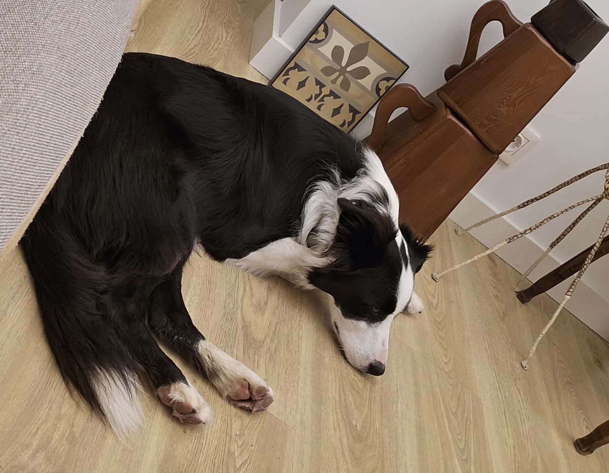 merjmat_'s tweet photo. Últim dia.
#Urka https://t.co/e8V5cmunDJ