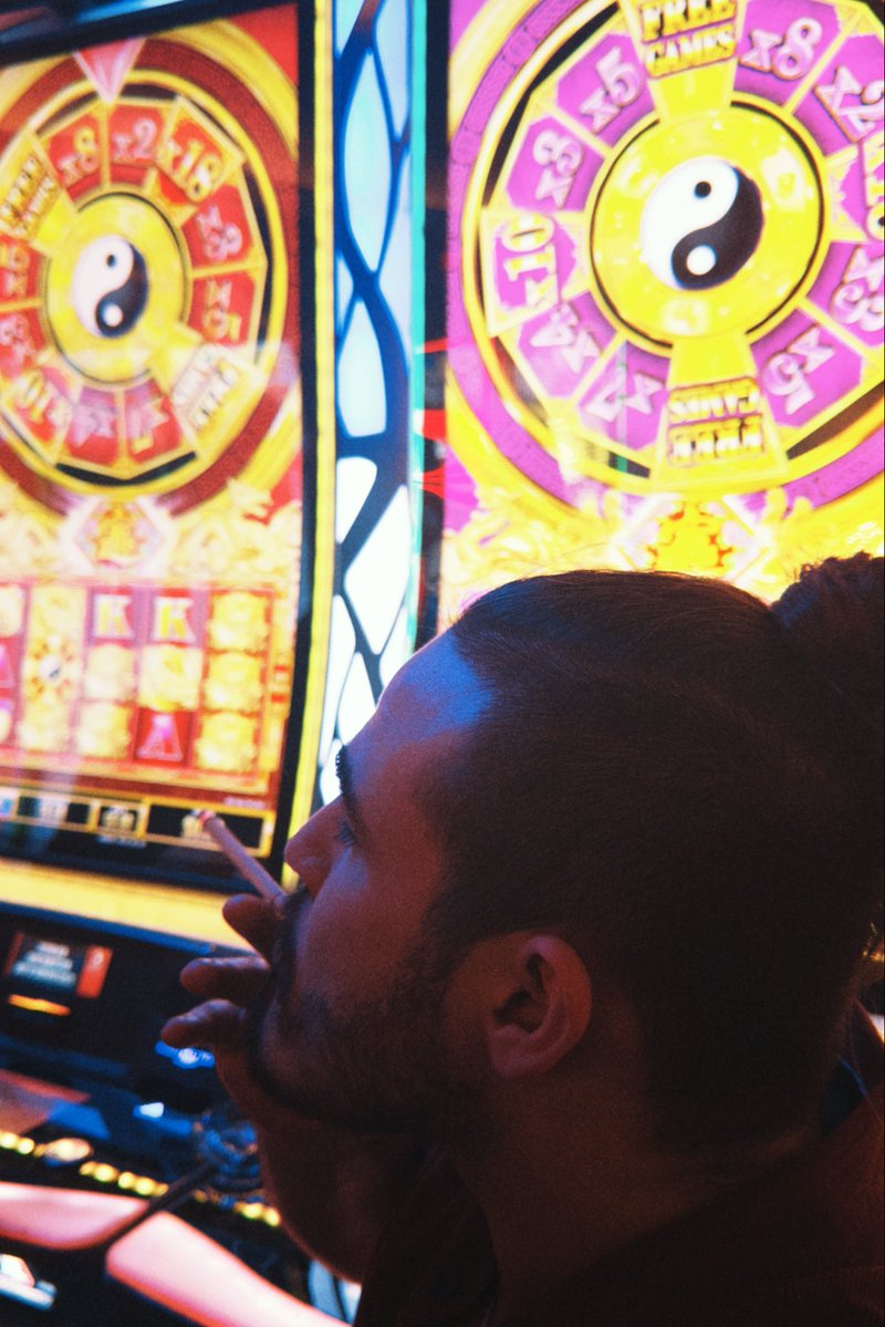 t4zerr's tweet image. The lion does not concern herself with making it back