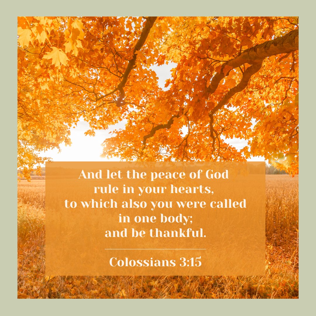 kimberly_keagan's tweet image. Grateful for the unity and love we share in Christ!

#sundayscripture