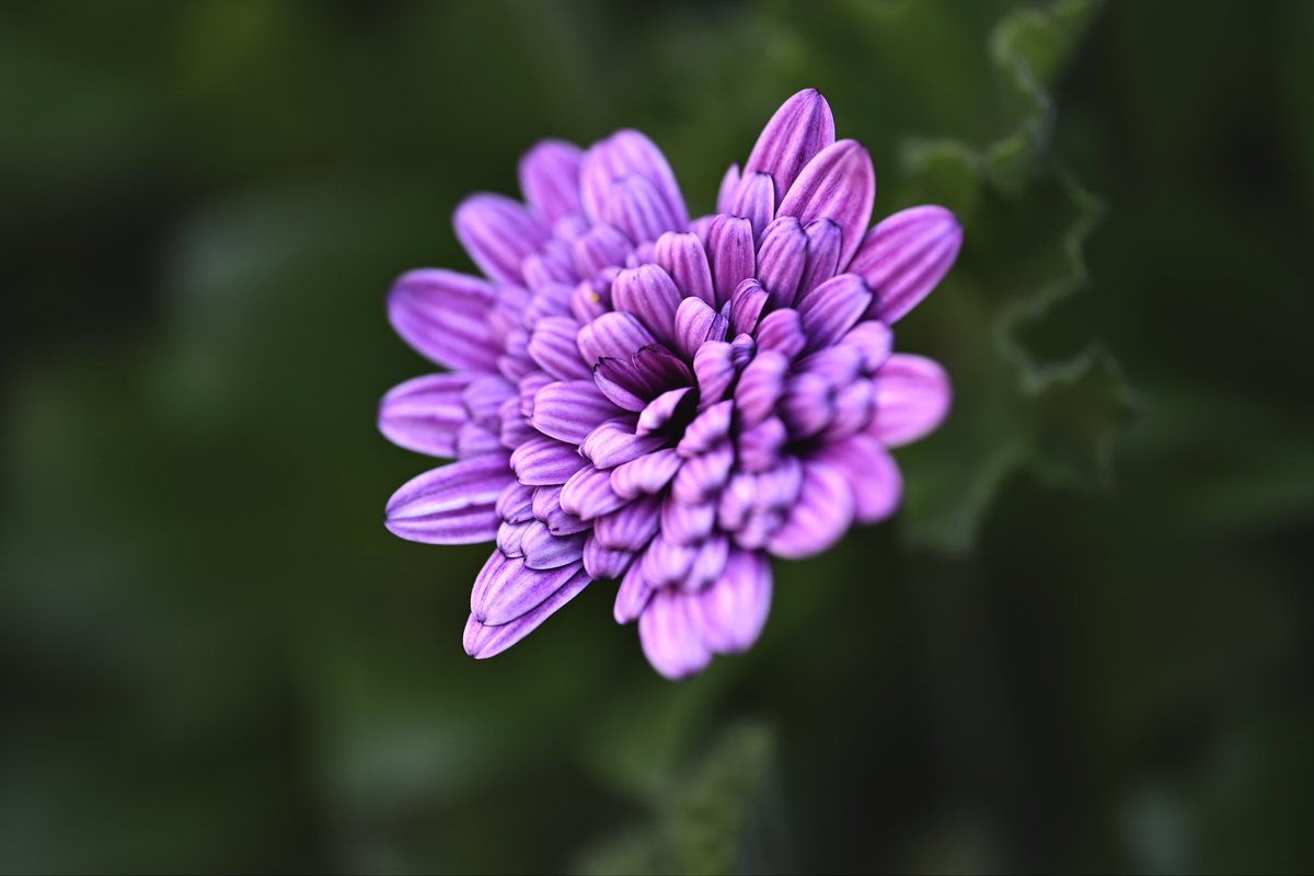 📸kazumi (@zf1118kazumi) / Posts / X