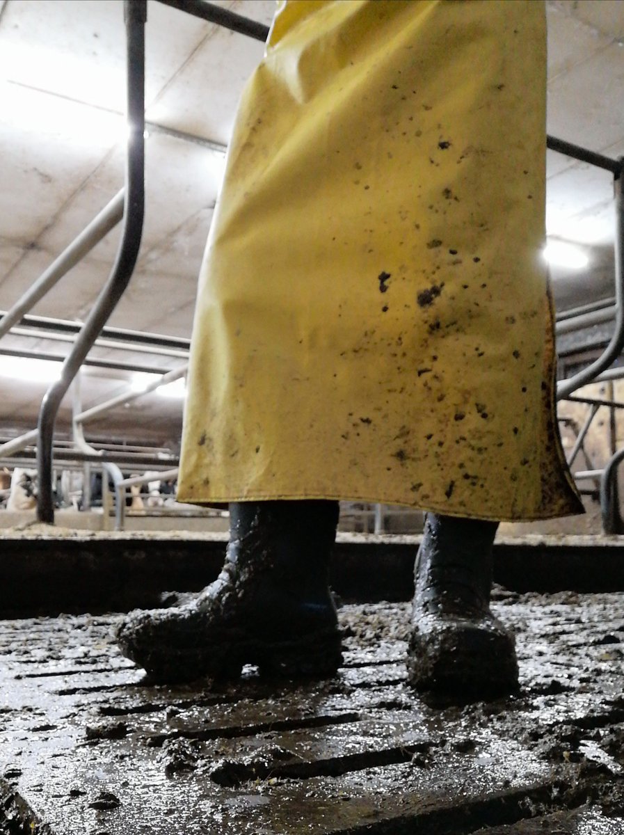 FarmhandGER's tweet photo. Best job in the world https://t.co/k3bbOWu9yc