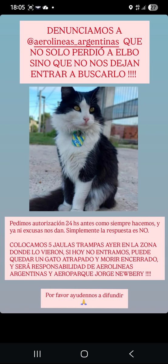 Alejandra tweet media