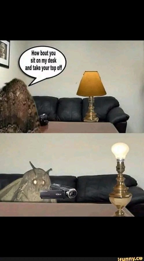 <a href="/BaseHubHB/">Base Hub 🛡️</a> Always basepostig