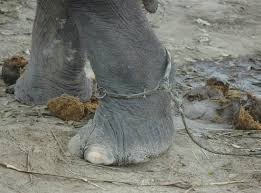 Библиотекарь tweet media