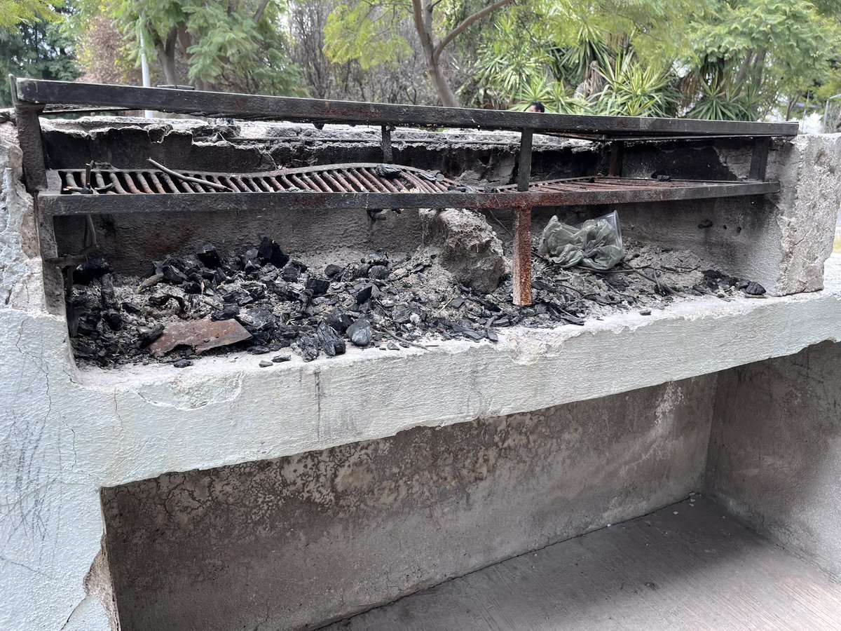 RiffOSaurius tweet media