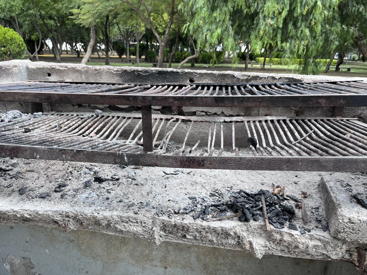 RiffOSaurius tweet media