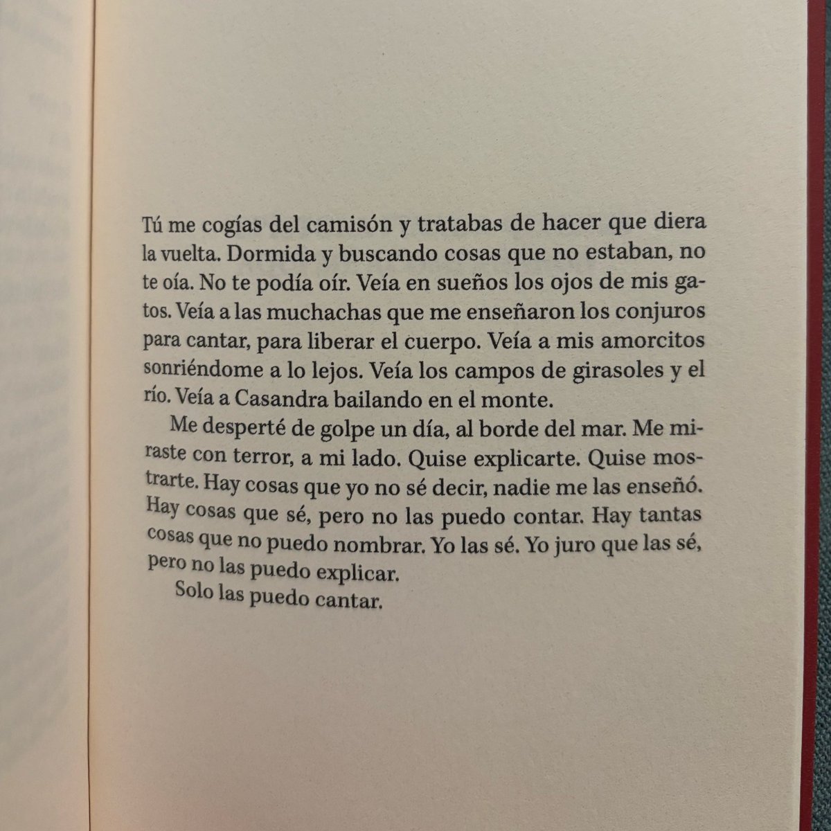 El bello poema de hoy es de <a href="/_paulamelchor/">Paula Melchor</a> tomado de su poemario “Un conjuro” (2025) publicado por <a href="/letraversal/">Letraversal Poesía</a> #unpoemaaldía
