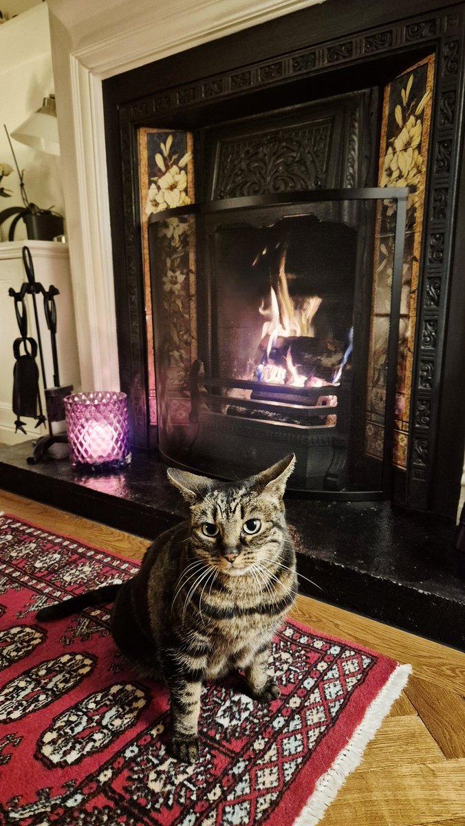 Time for staying warm in front of the fire 😻❤️