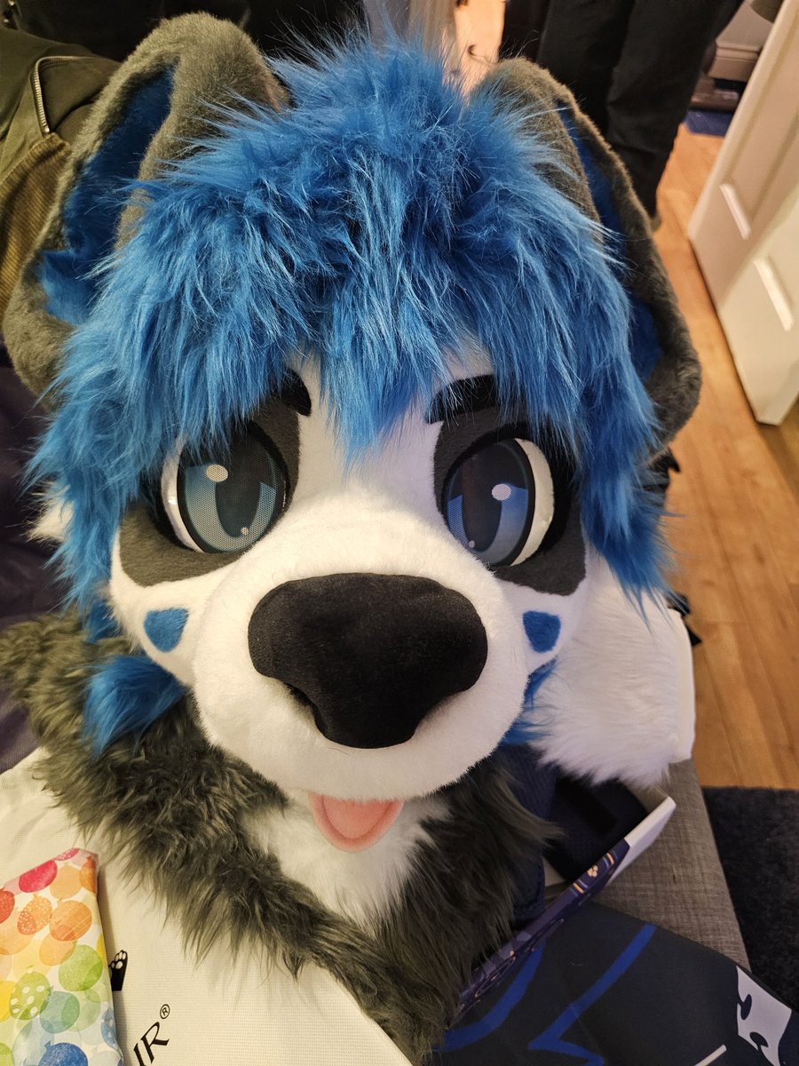 BonPansky's tweet image. Don't use X anymore, but wanted to pop on just to share the boy. He has finally come to life! Made by the wonderful @GentleFurStudio