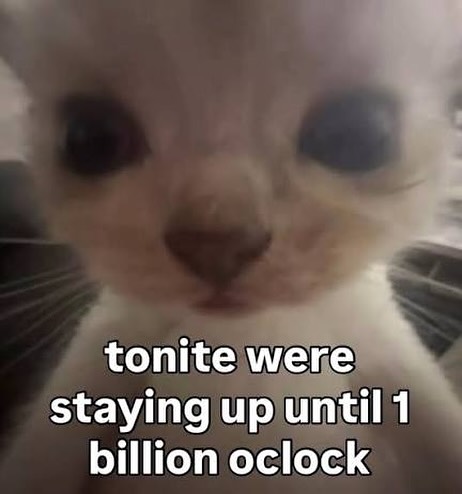 Catsillyness's tweet photo. https://t.co/TsTE31dHMI