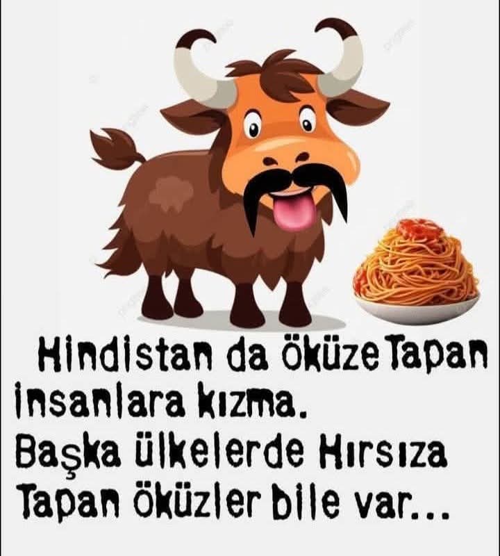 <a href="/Black_Mamba1730/">ᴍᴜʜᴀꜰɪᴢ 🇹🇷🐺</a>