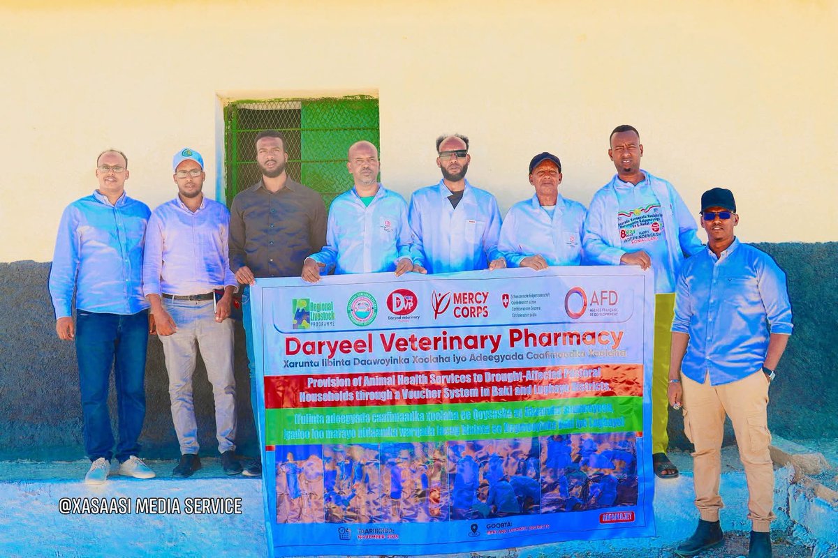 MoLRDSOMALILAND's tweet photo. The Ministry of Livestock has launched an emergency drought response program in Baki and Lughaya, delivering livestock treatment, fodder, and cash support to 816 households and 50,000+ animals.
 While NADFOR and Mercy Corps highlighted the value of coordinated action.
15.11.2025 https://t.co/MO9y9JRIwy
