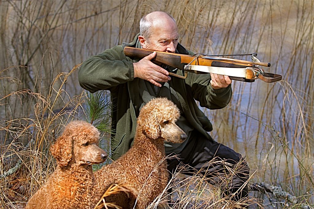 penswordbooks's tweet image. #OnTheBlog ✨ A pawsome new post is now live on the P&amp;amp;S Blog... 🐾

💬 Dogs: Working Origins and Traditional Tasks – a guest post from @mikeloades 🐕🐩🐕‍🦺

👀 Read it here ➡️ buff.ly/jd22fGa