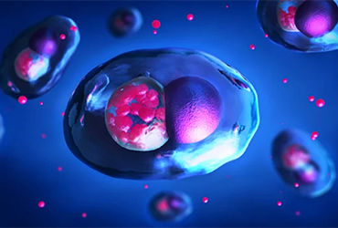 IDSE_Online's tweet image. 1 in 5 Americans has an STI. New CDC data show declines in chlamydia, gonorrhea, and syphilis—but babies are still at risk from congenital syphilis idse.net/a/kzMBAA/t #STIs #PublicHealth