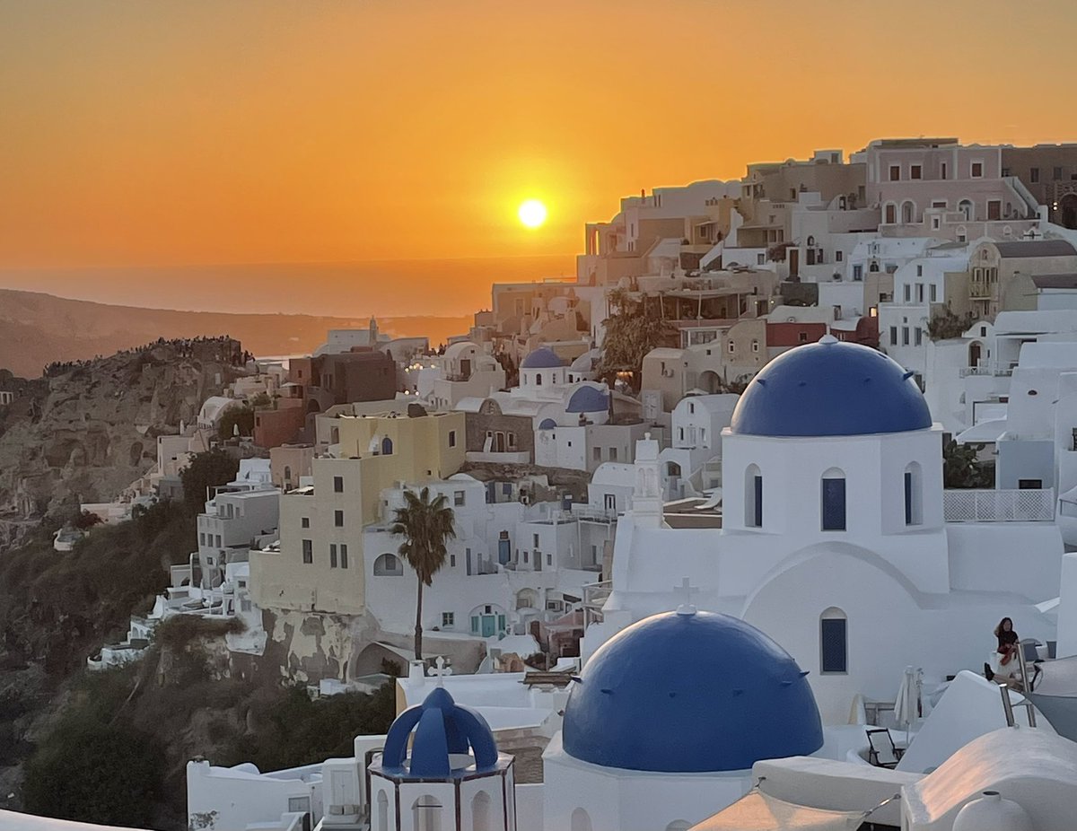 Lynne Webb tweet media