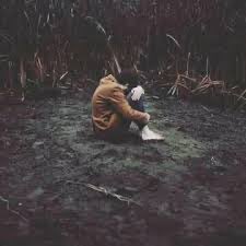 بوح ❥ tweet media