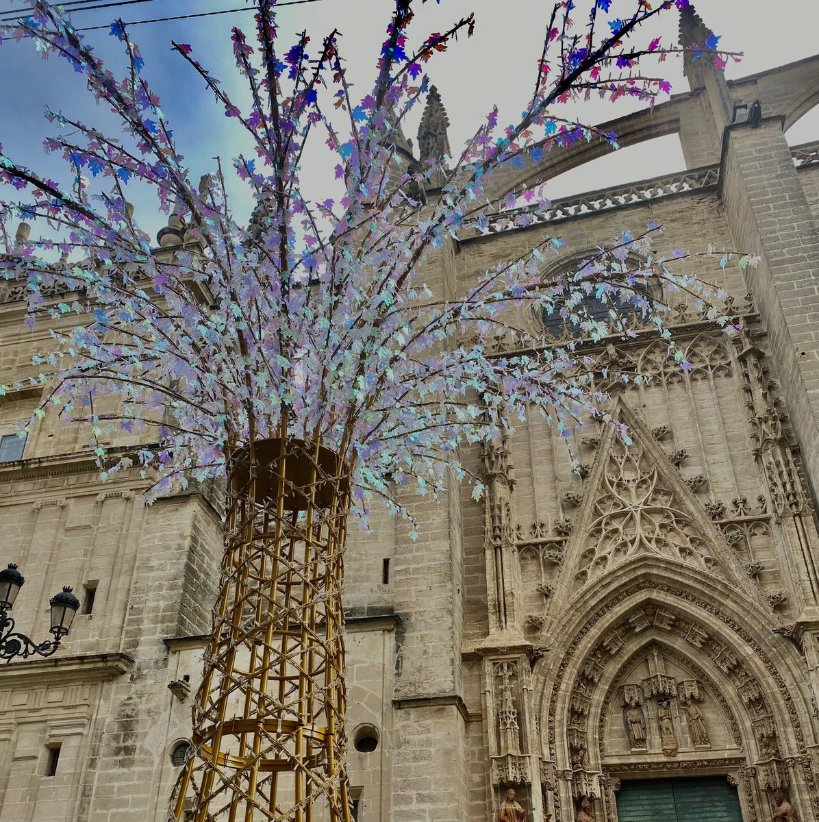 Tatarixi10's tweet photo. Mientras en #VioletPlanet sueñan con un prometedor futuro en Londres, y yo con el mío en un pueblito mallorquín de piedra y persianas verdes, va llegando la Navidad a #SevillaHoy. Incesante. https://t.co/fbt2s3Ch6W