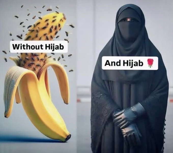 AllahGreatQuran's tweet image. A best Example ever💯