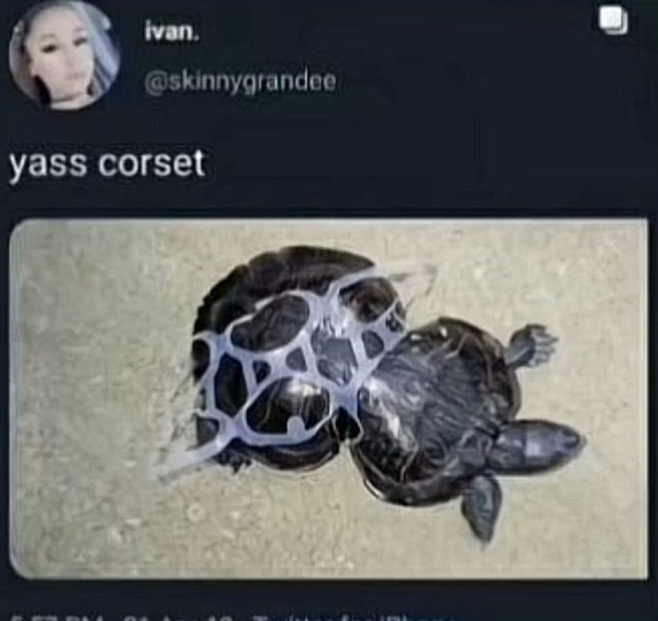 youreender's tweet image. Name one thing more impactful than this photo