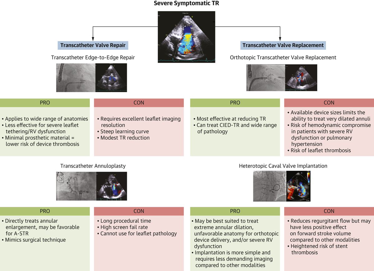 Zille Huma tweet media