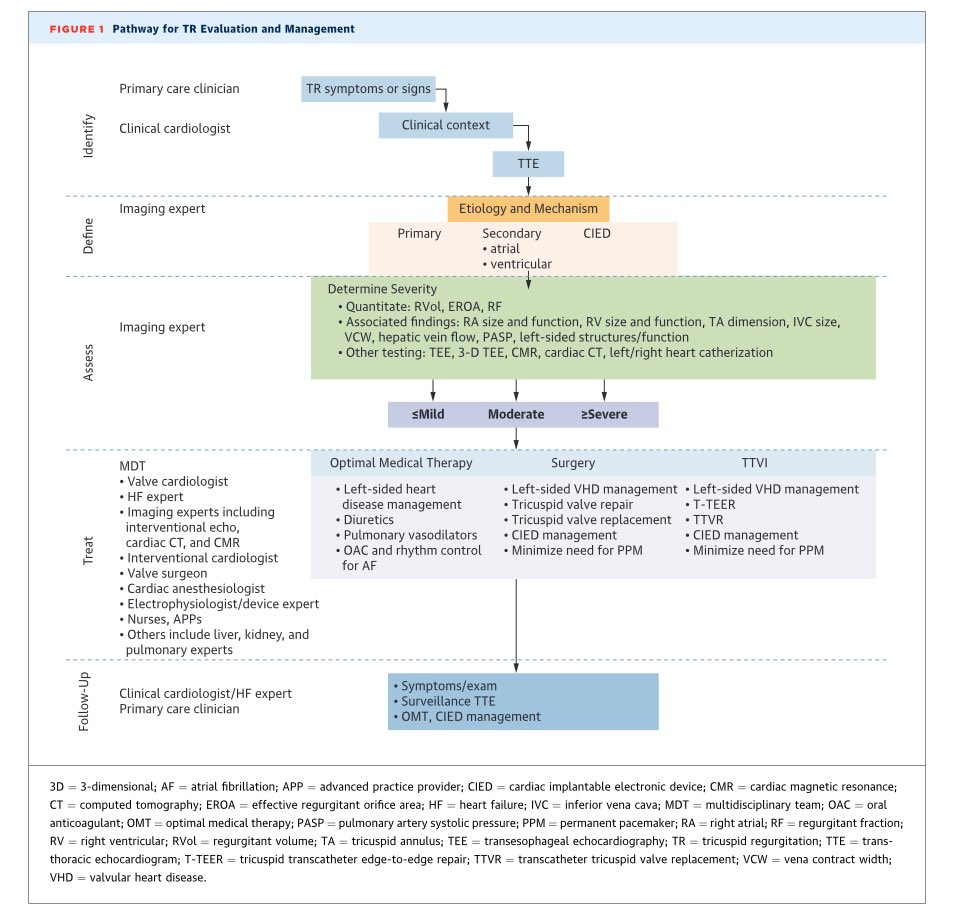Zille Huma tweet media