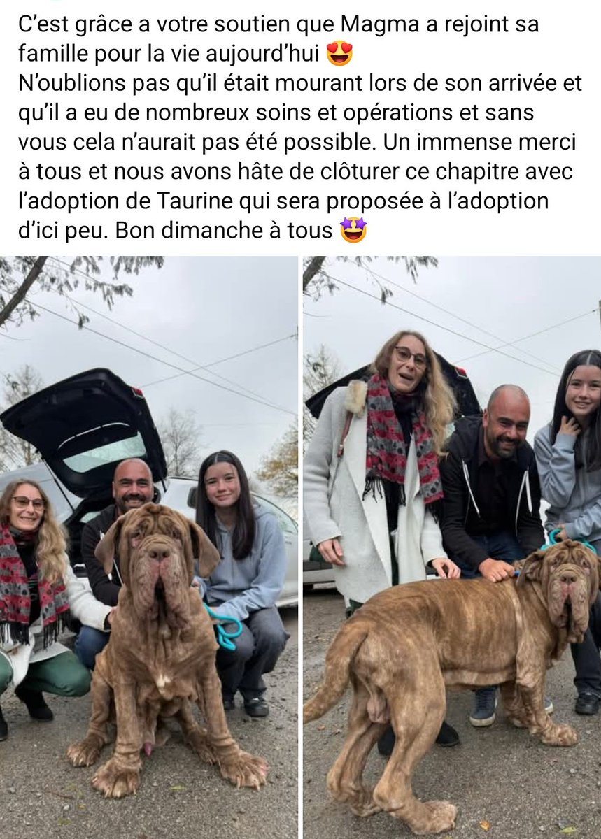 Les bonnes nouvelles se partagent🥰