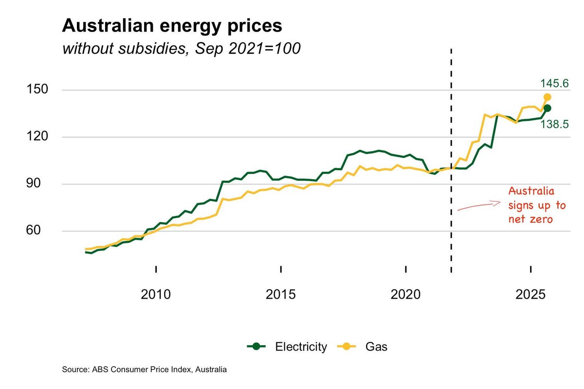 🇦🇺𝓡𝓸𝓮𝓵𝓸𝓯 𝓑𝓸𝓮𝓻 AKA Roy tweet media