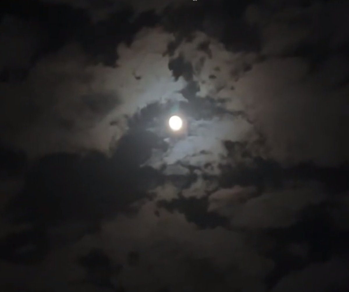 ............. 🕊️

كل ما اطفيت الانوار ب نام
تشعل طيوفك شموع طاريك

وسامرة غلا َتسهرني الأحلام
نور القمر ياخذ منك ويعطيك.
.
.
.