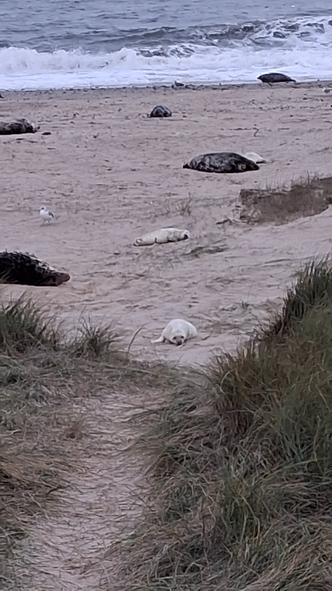 Glen Blackwell - History Through Today's Eyes 📚🎙 tweet media