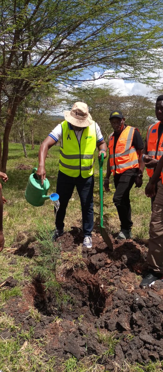 TardaKE's tweet photo. 6:The event culminated in a tree-growing exercise at the riparian zones and at the NTSA Regional Offices compound. As we honour those we have lost, we recommit to action. Safer roads save lives, protect futures, & strengthen the communities we serve.
#WDoR2025 #RememberSupportAct https://t.co/77K4mbSDSG