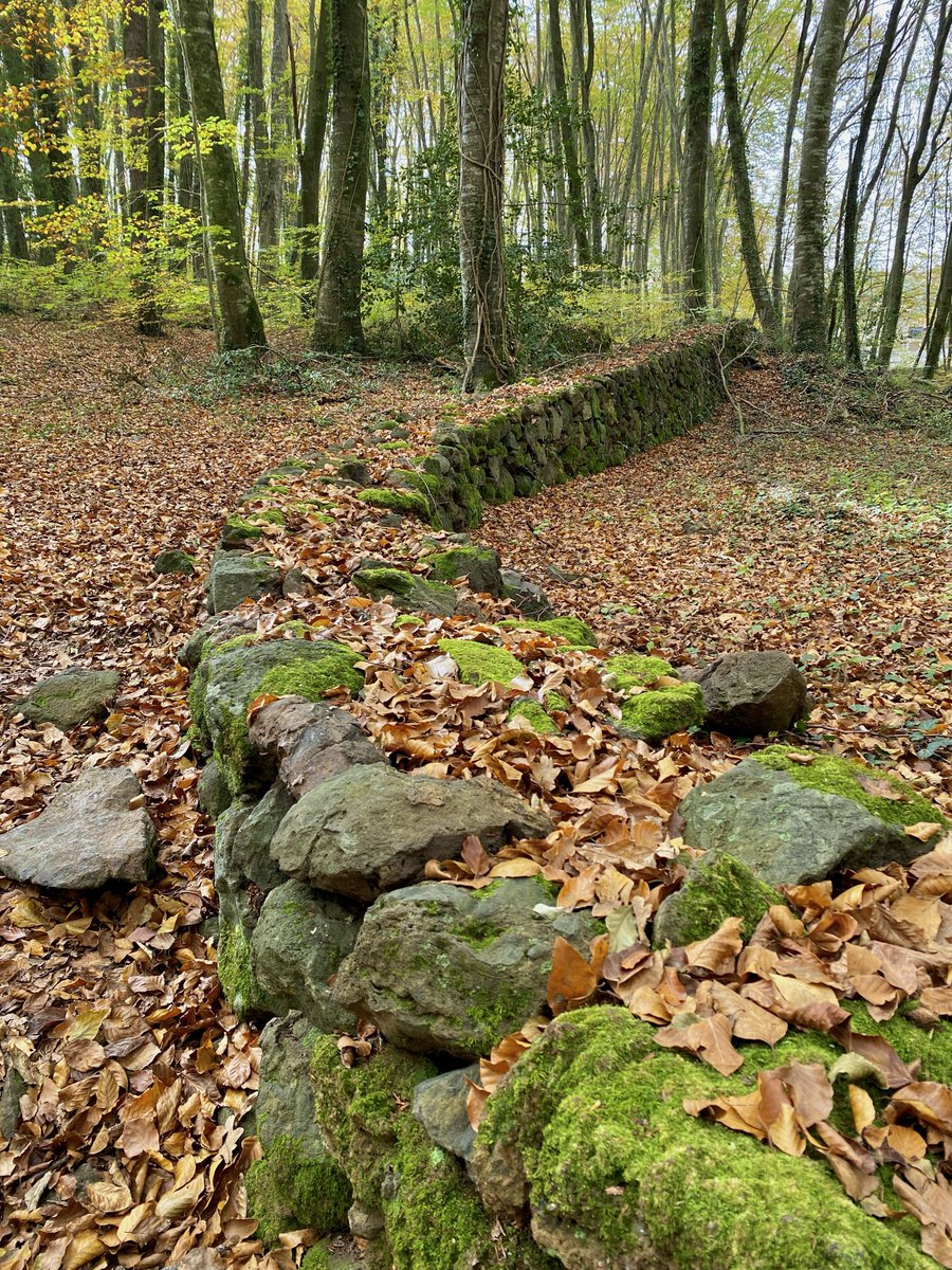 Una finestra des de l'espai tweet media