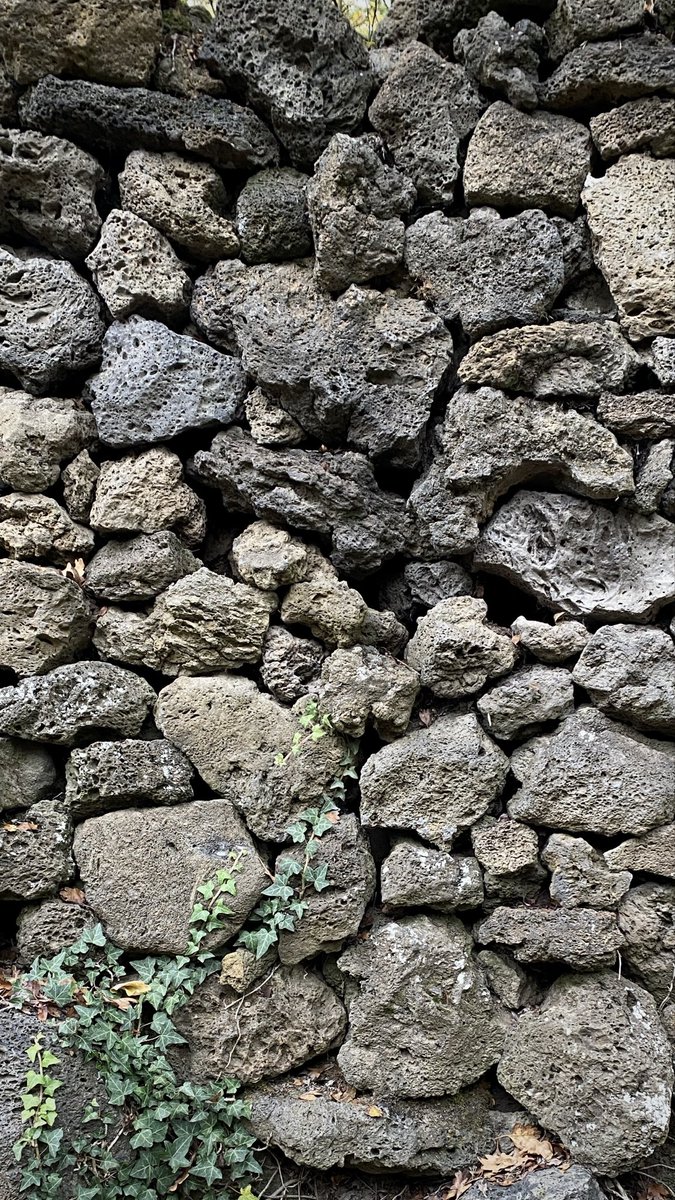 Una finestra des de l'espai tweet media