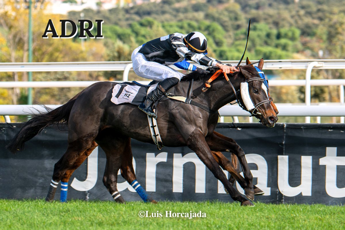 LUIS HORCAJADA (@luishorcajada66) on Twitter photo 