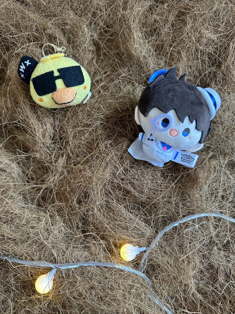 Piyoung and Kaito accompanied me on my grocery run yesterday 🐣🎩